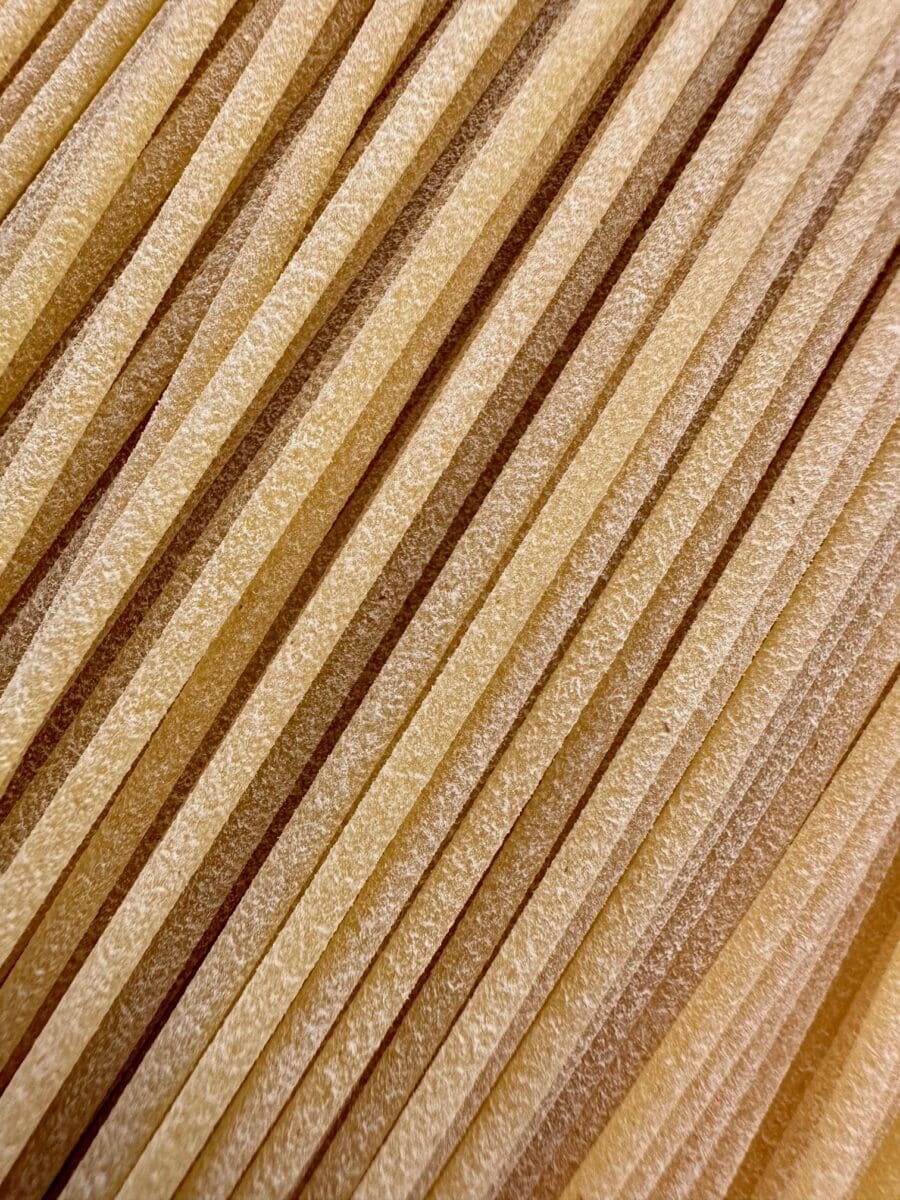 bronze die cut spaghetti