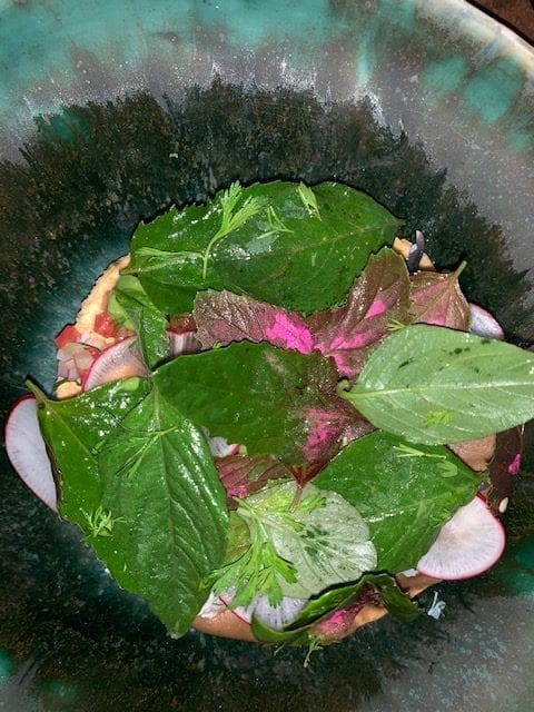 Crab Tostada with Hoja Sante