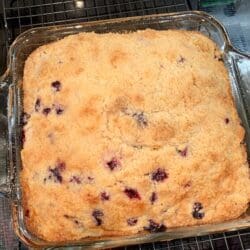 Blueberry buckle baked