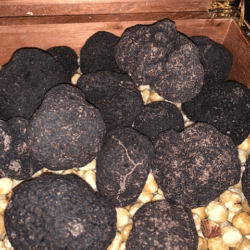 Alinea Truffles
