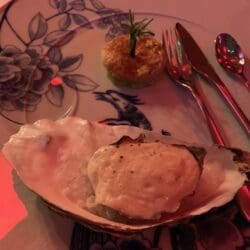 Communal Oyster