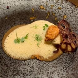 Turbot uni eggplant vermouth