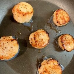 Seared Scallops