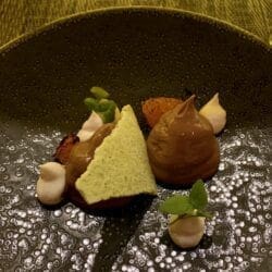 Egg Custard 20