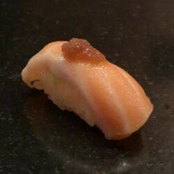Fluke Nigiri 13