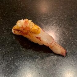 Juno Red Prawn 17
