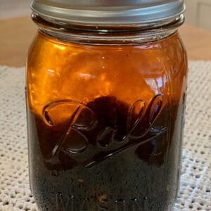 blackberry infusion ball jar