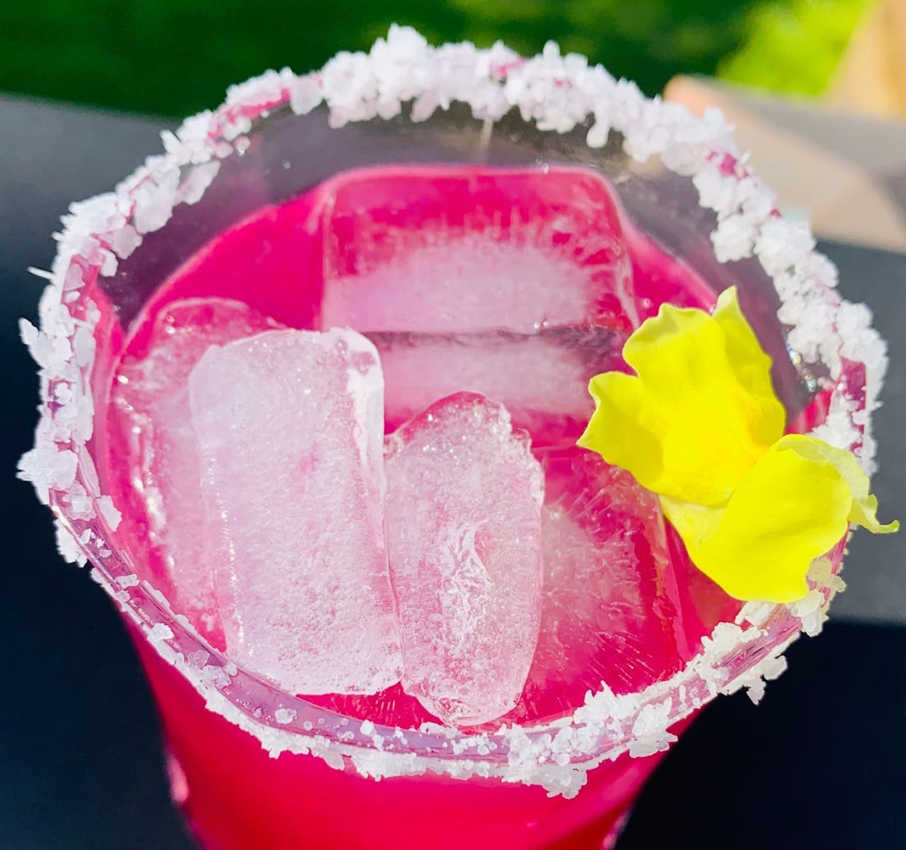 Prickly Pear margarita main