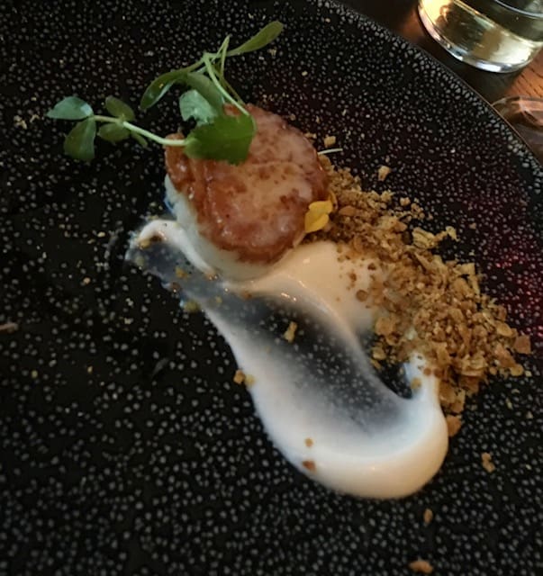 Scallop