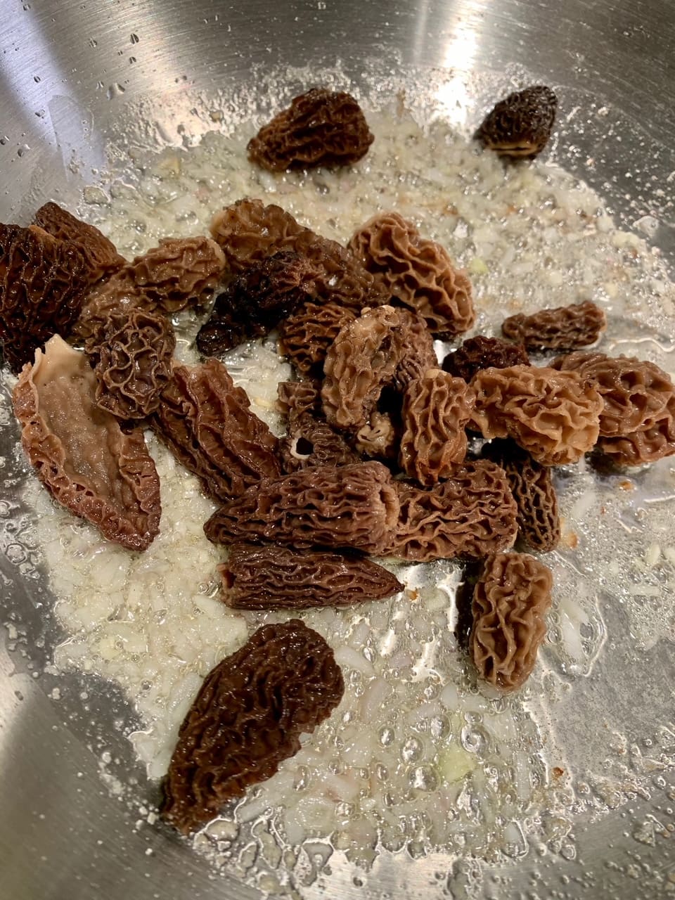 Morel Mushroom Cream Sauce and Puff Pastry Cook Savor Celebrate