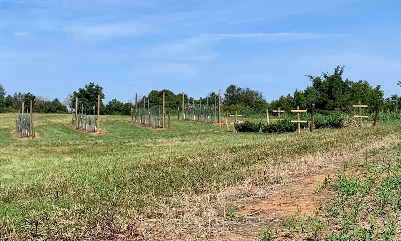 white oak repository
