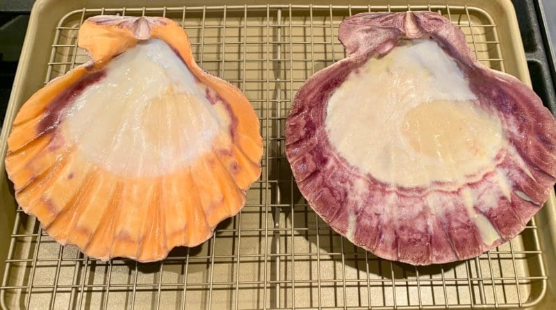 buttered shells