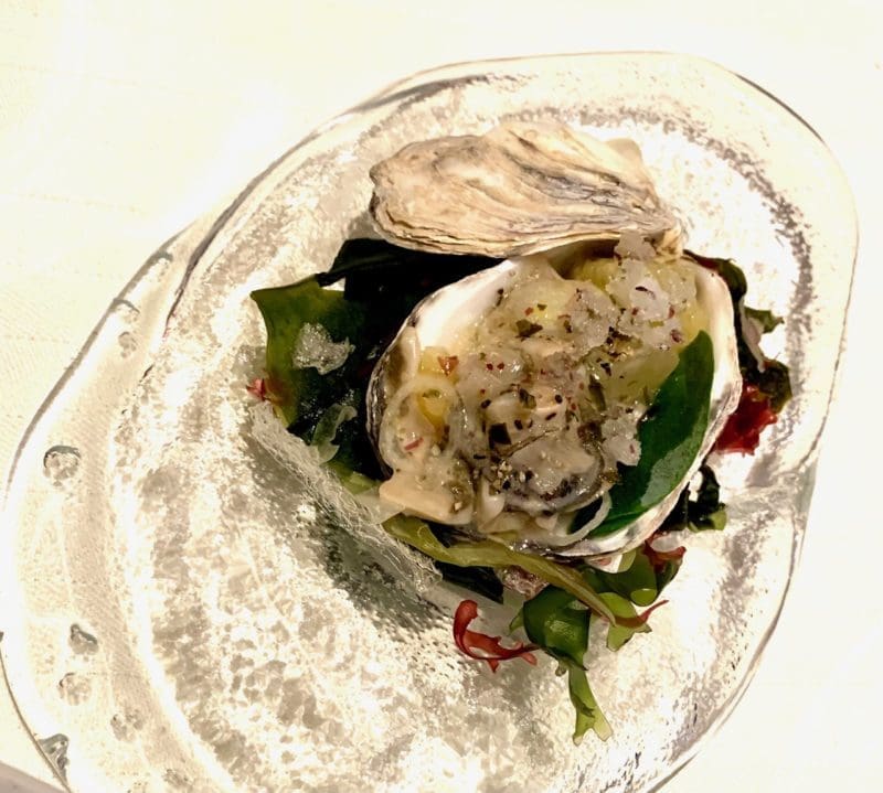 oyster