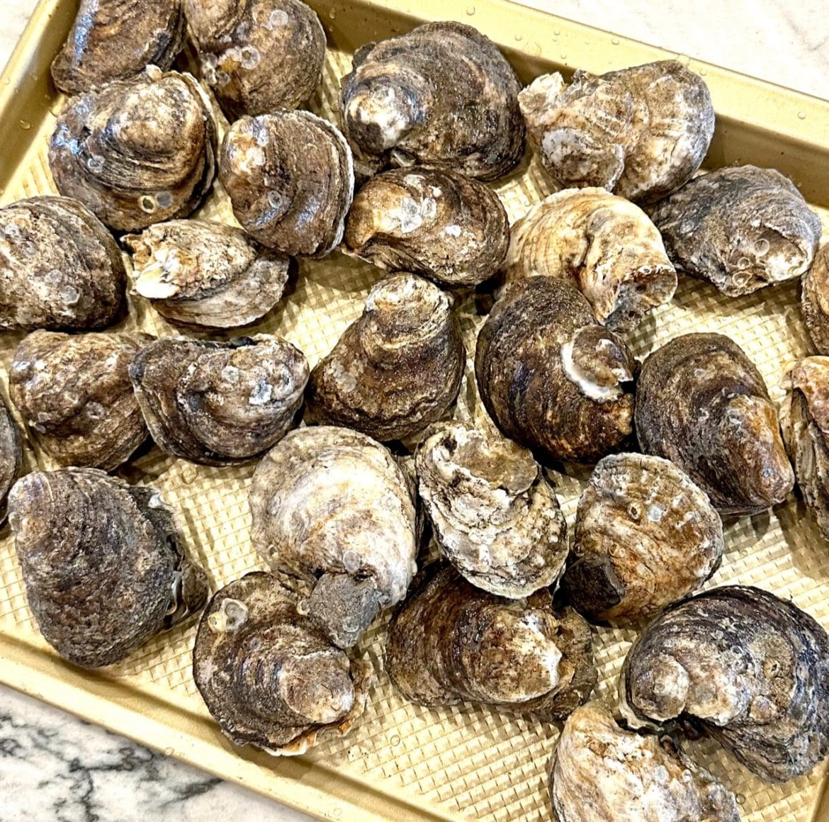 Oysters Bienville Cook Savor Celebrate