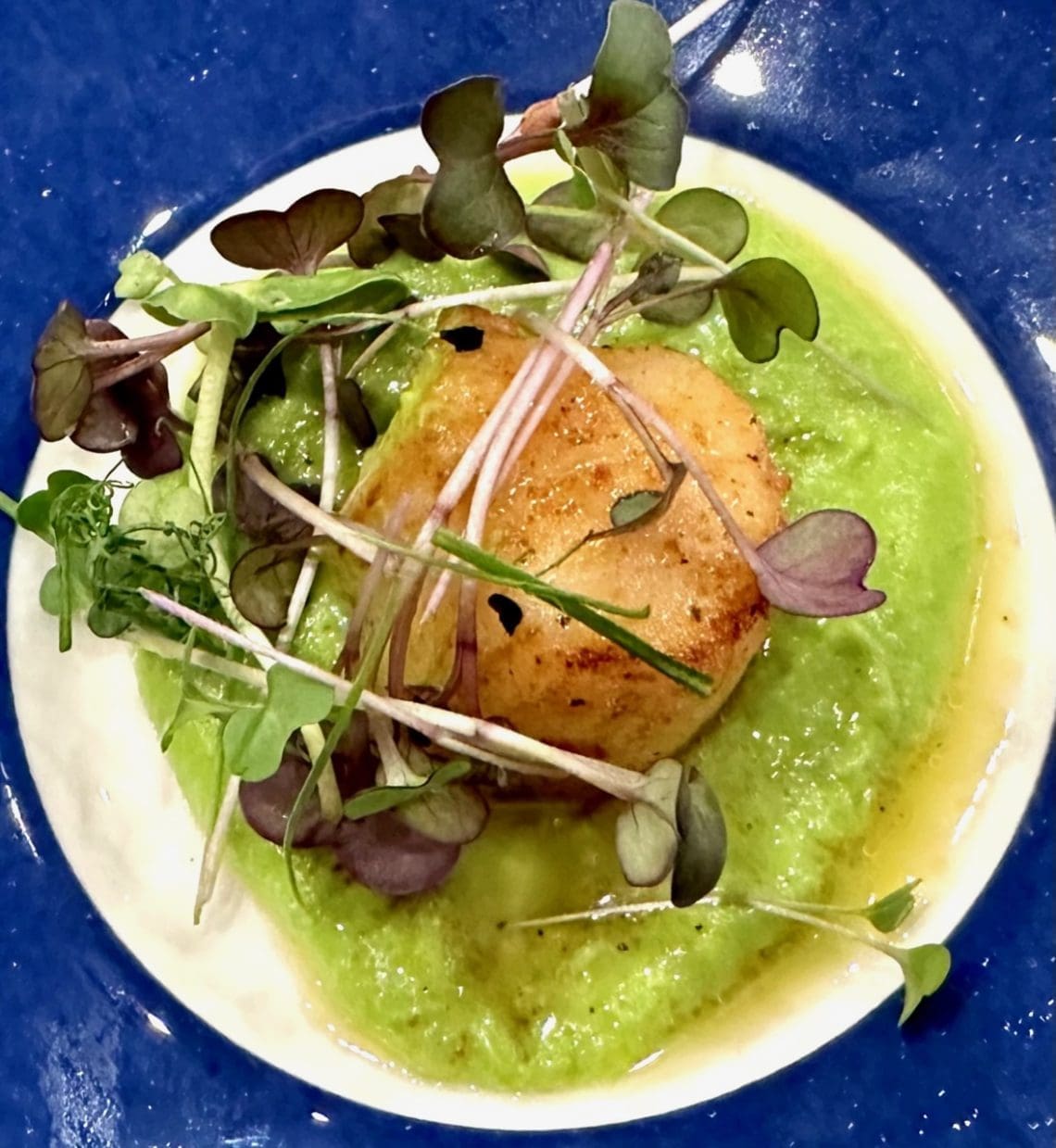 seared scallop on pea puree