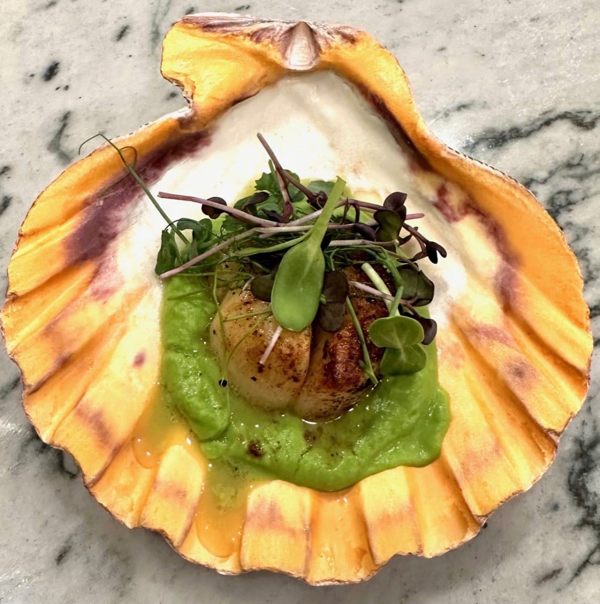 seared scallop on pea puree 2