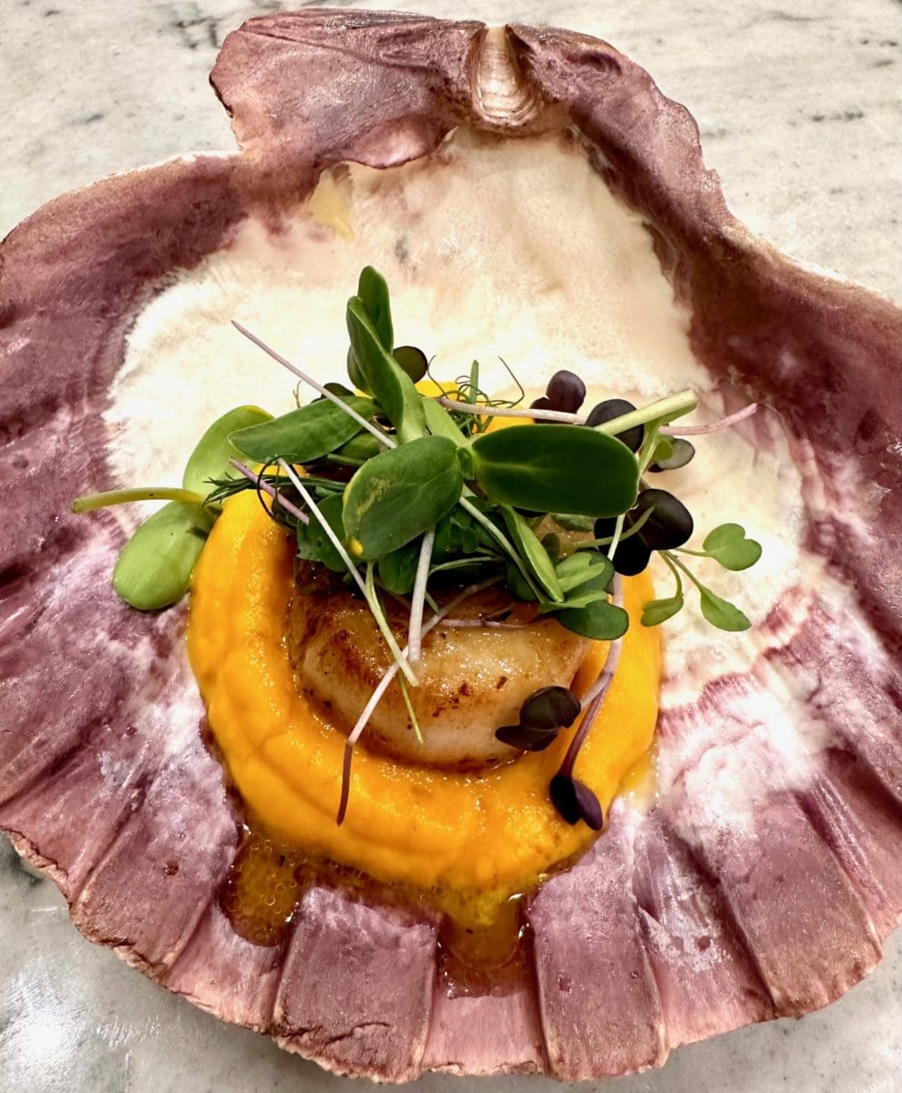 scallop on carrot puree