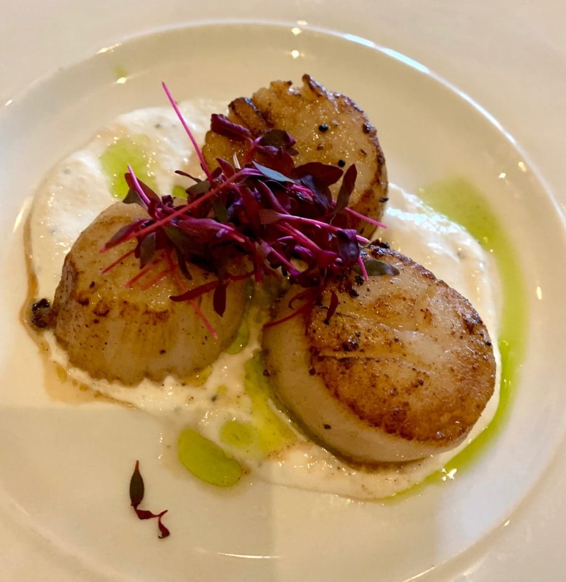 scallops