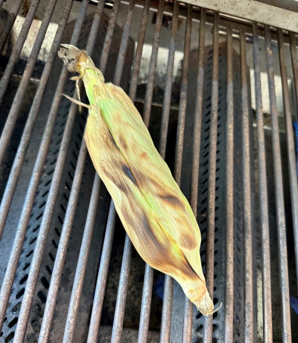 grilled corn 1