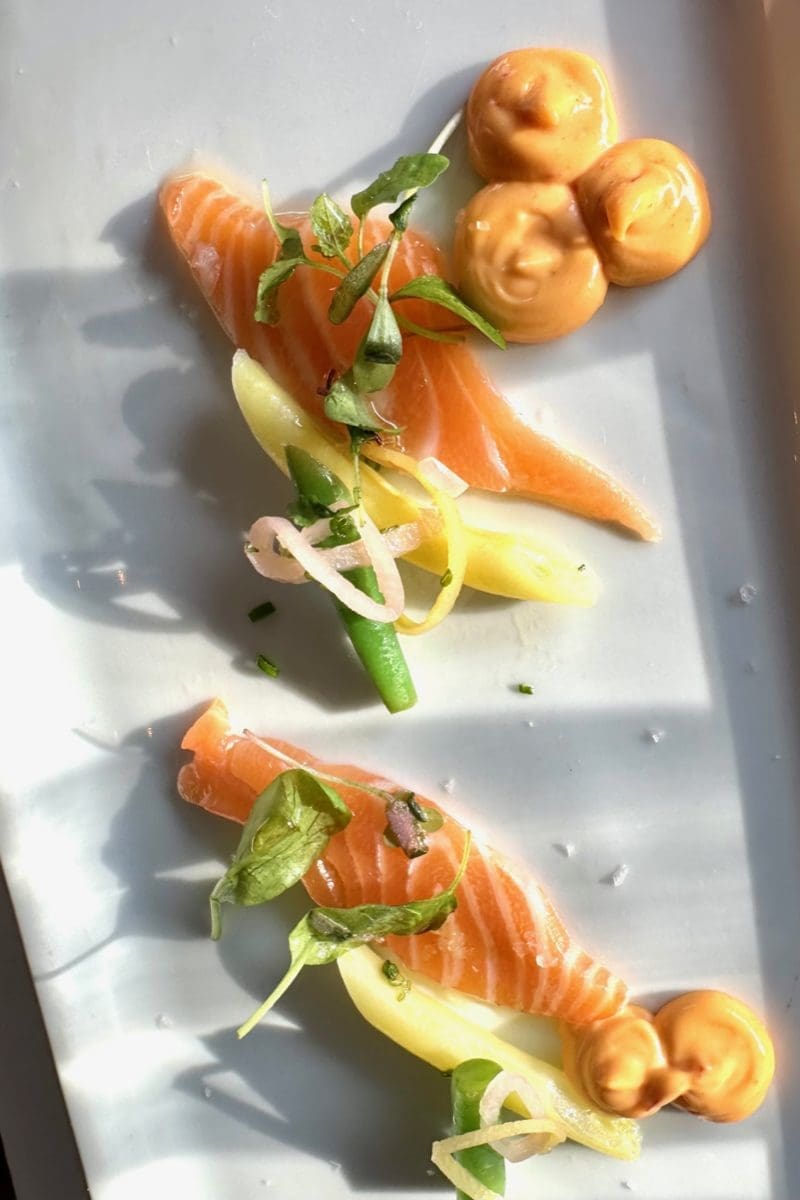 salmon crudo