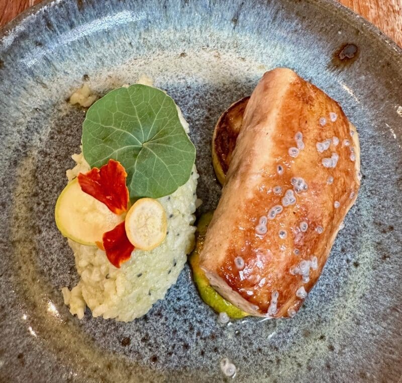husk - savannah cobia