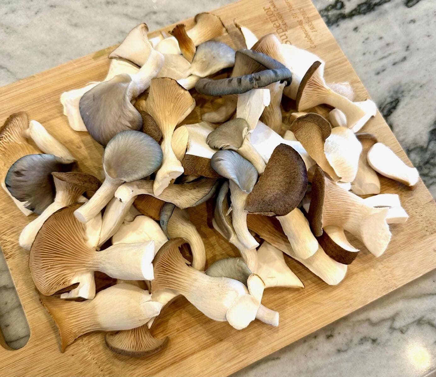 king trumpet mushrooms