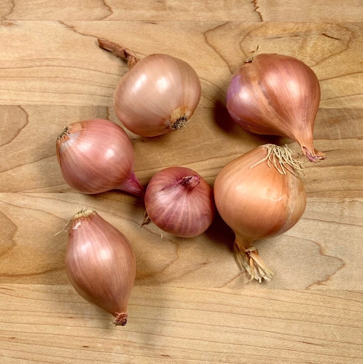 shallots