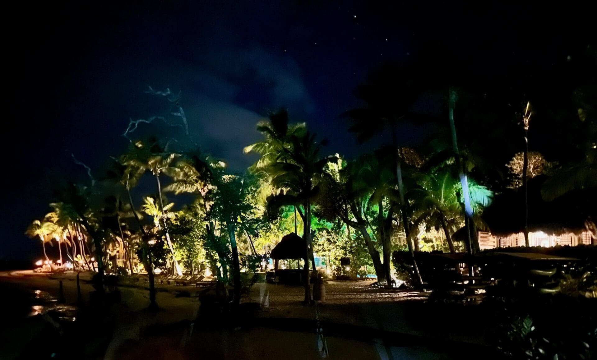 farewell little palm
