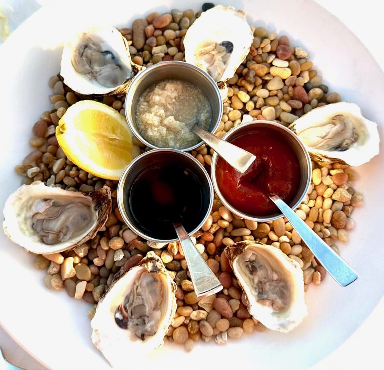 atlantic oysters