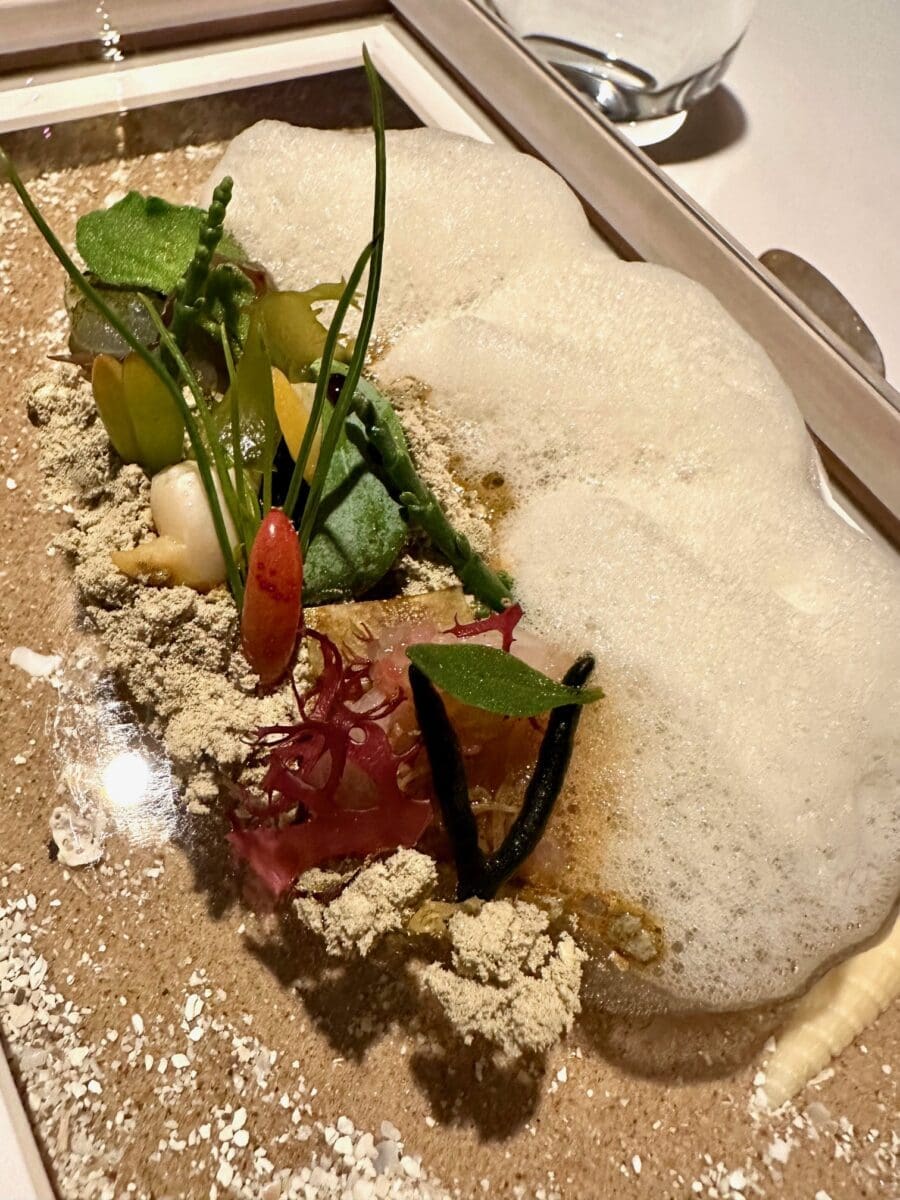 4th course sound of the sea