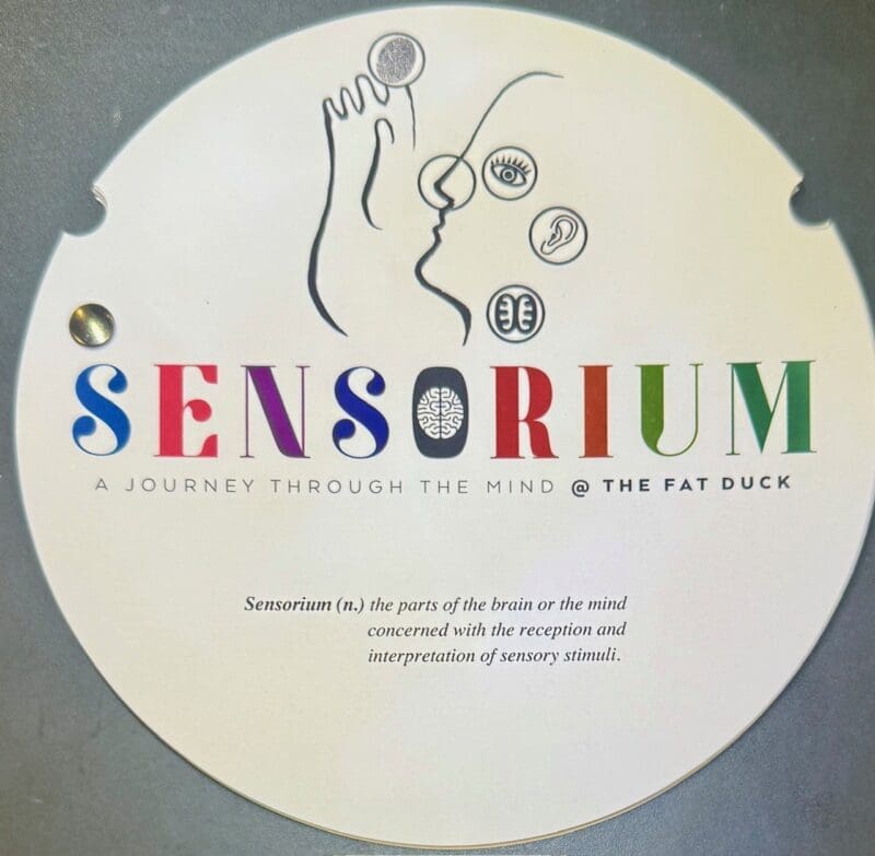sensorium