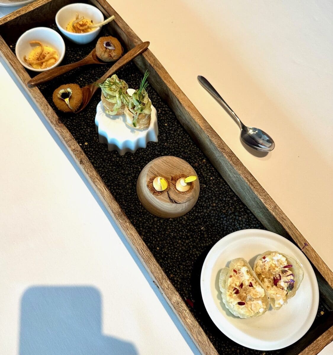 maximilian lorenz starters selection