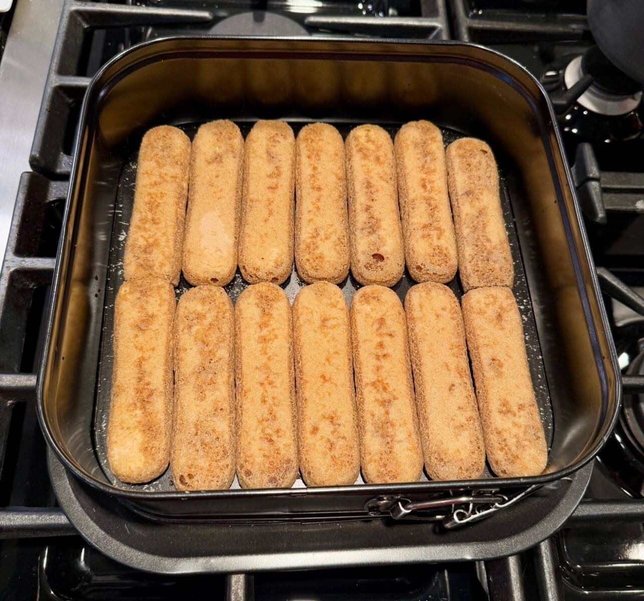 1 layer of ladyfingers