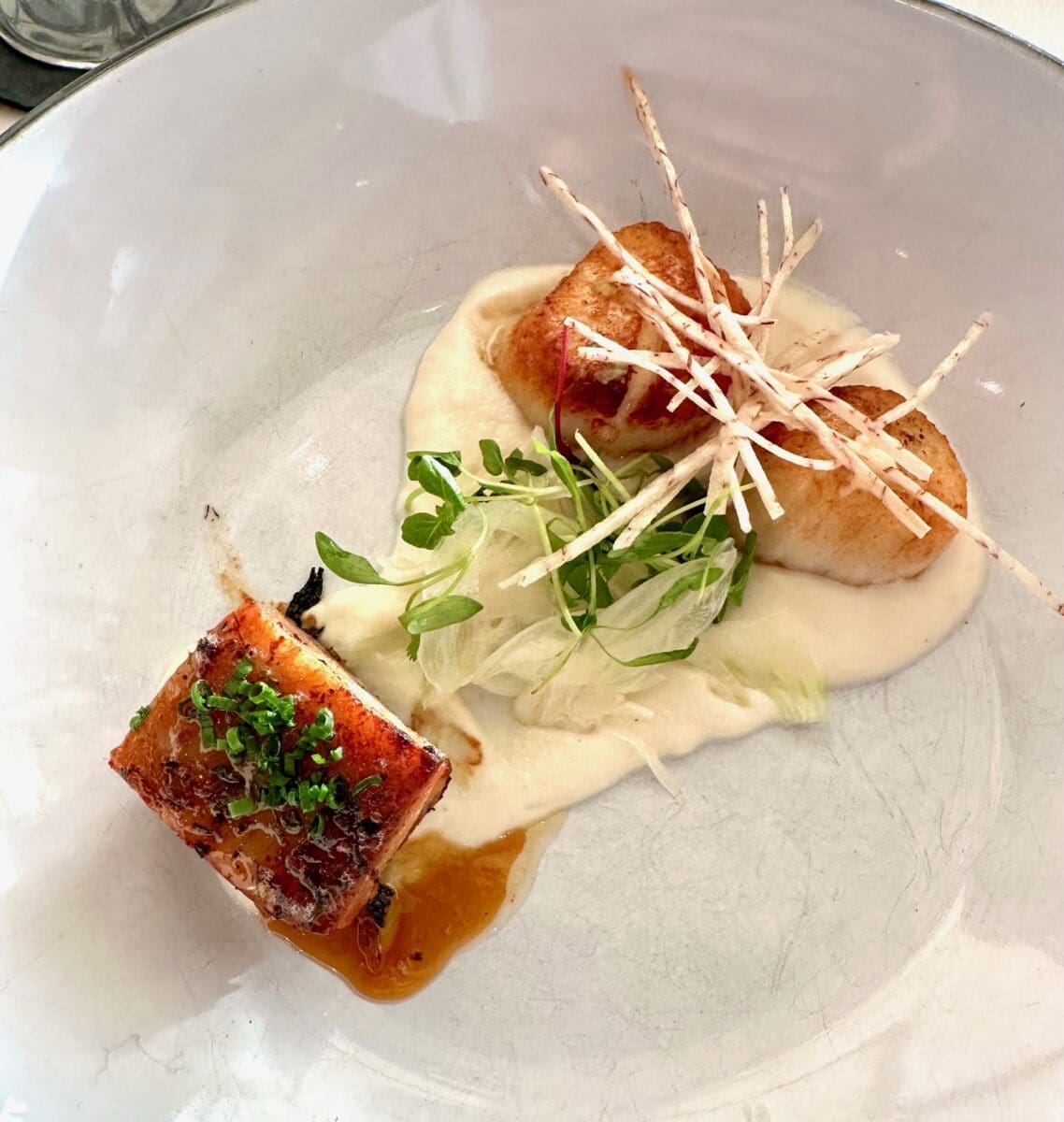 scallops and pork belly