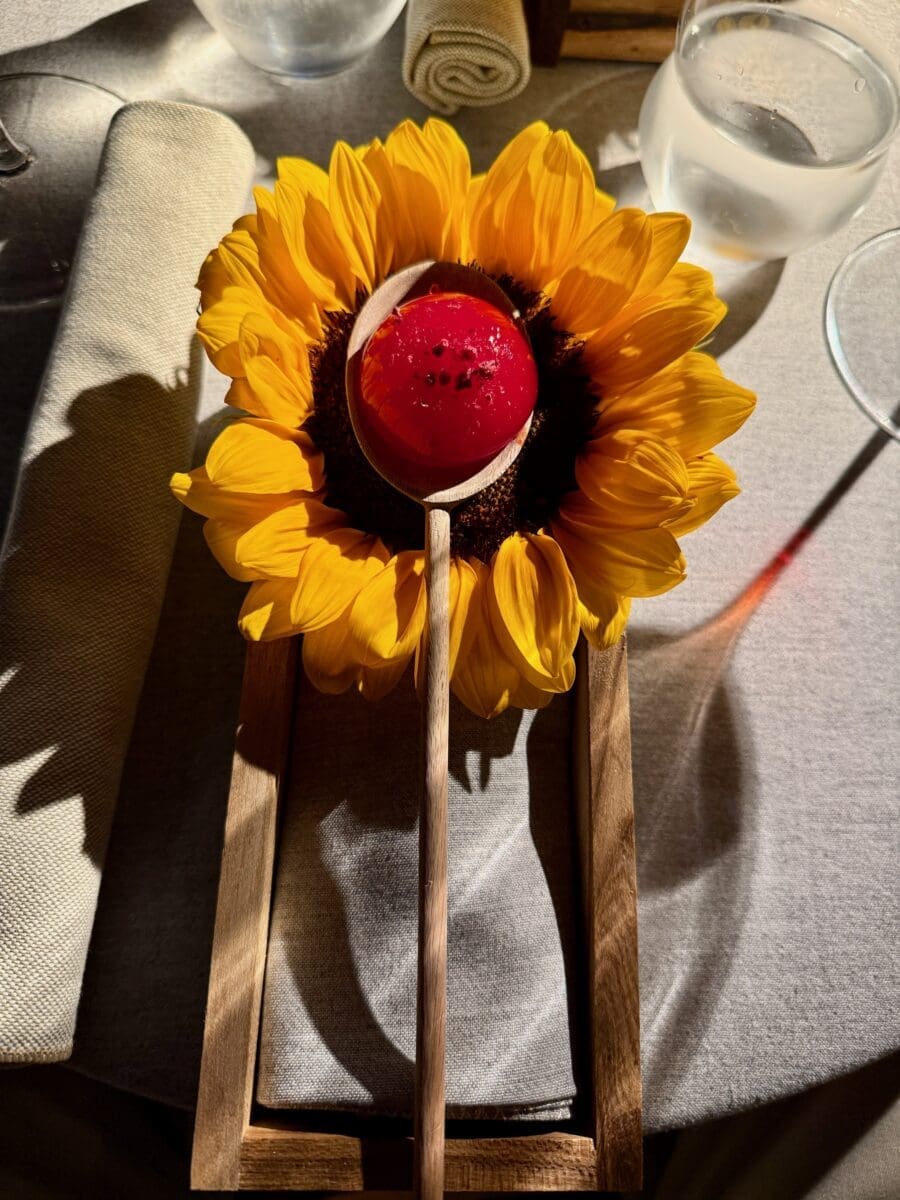 watermelon sunflower