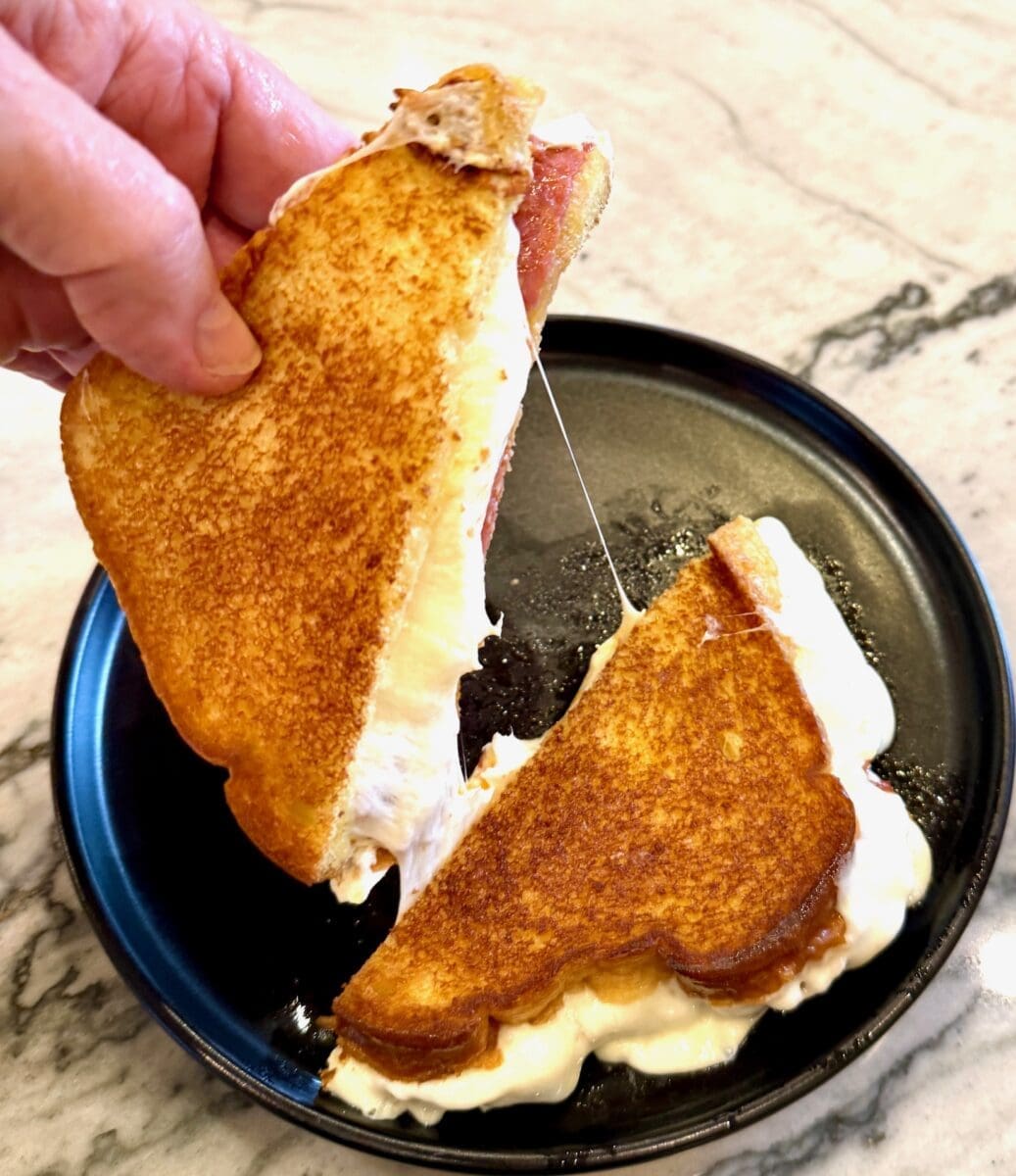 melty ooie gooey mozzarella