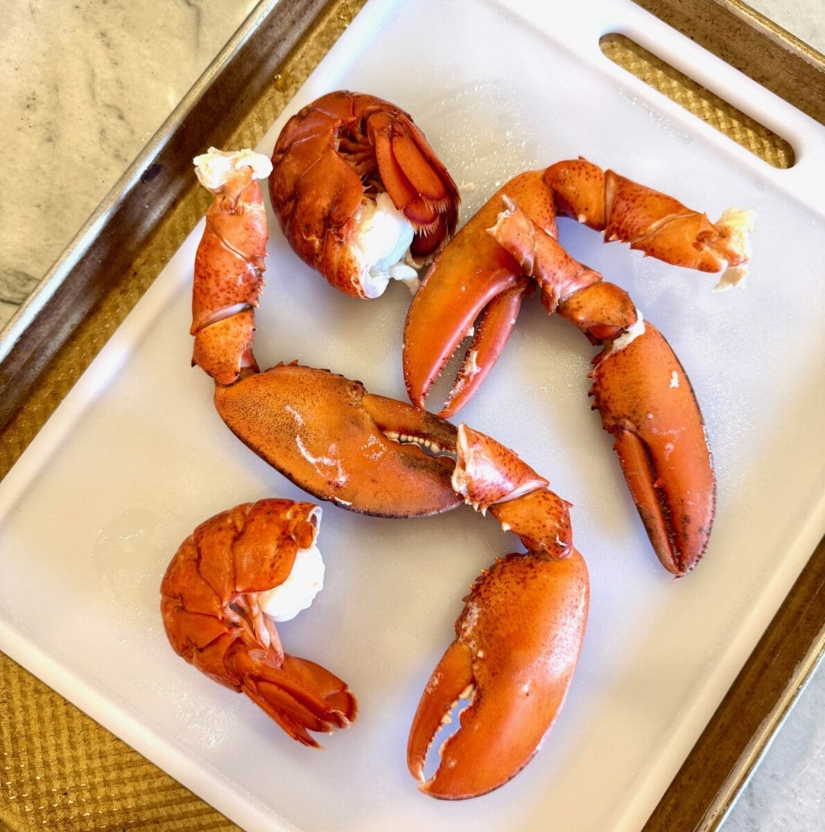 steamed lobster