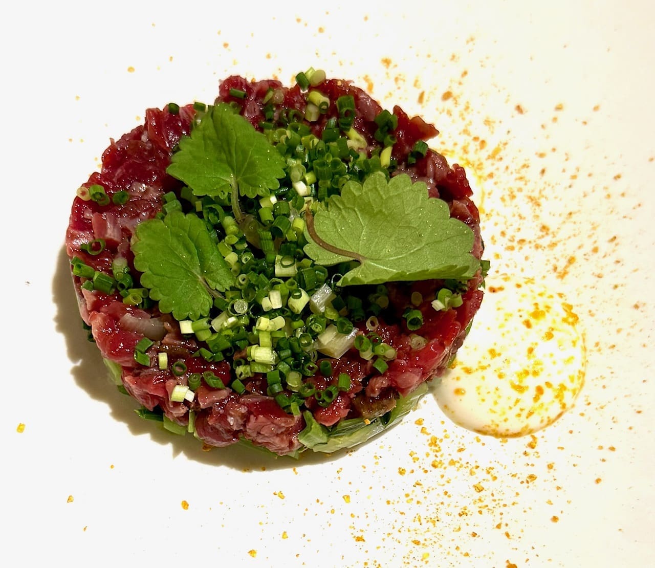 cenci horse tartare
